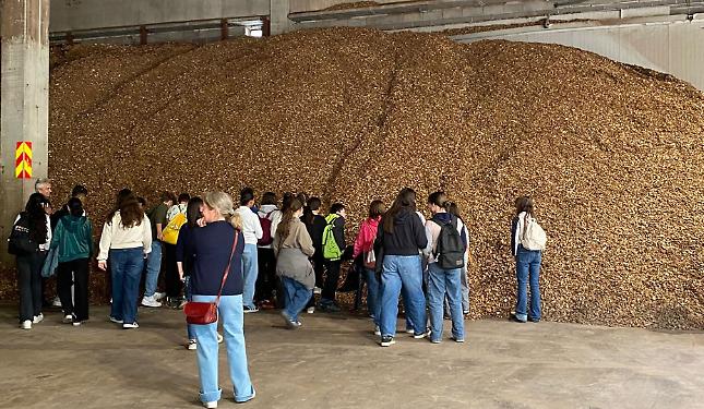 Gli scarti di legno diventano energia: il caso virtuoso di Vernante, contro la crisi energetica
