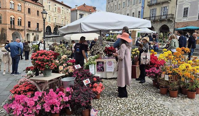 Mondov&igrave; oggi &egrave; un giardino tutto da vivere (e fotografare)