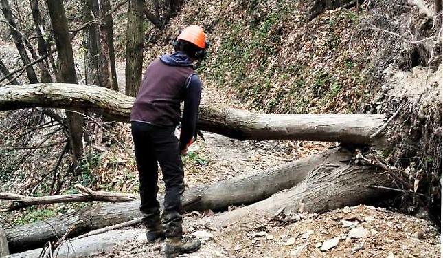 L'Aib al lavoro su piste forestali e sentieri: manutenzione in vista della Camminata della Liberazione