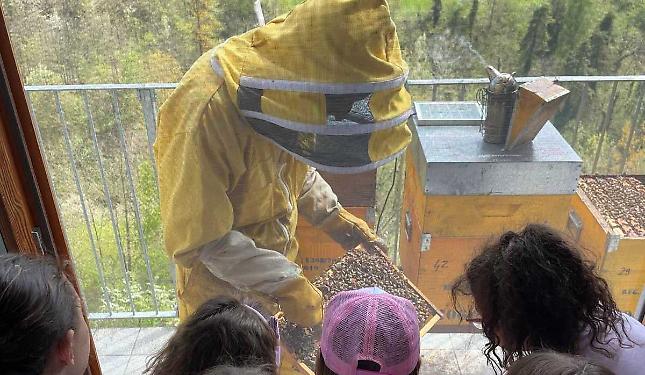 Gli alunni della Scuola primaria incantati dal mondo delle api