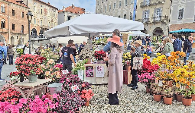 &ldquo;Monfleur&rdquo; ha funzionato, e anche bene: perch&eacute;?