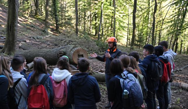Il Piemonte porta gli studenti nel bosco: qui la natura diventa maestra