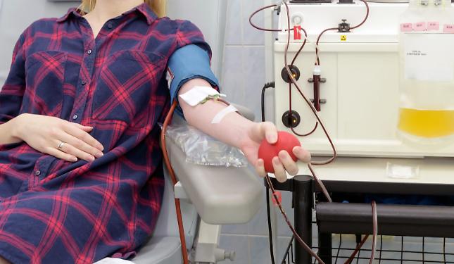Plasma in Piemonte, la Regione: &laquo;nessun allarme&raquo;