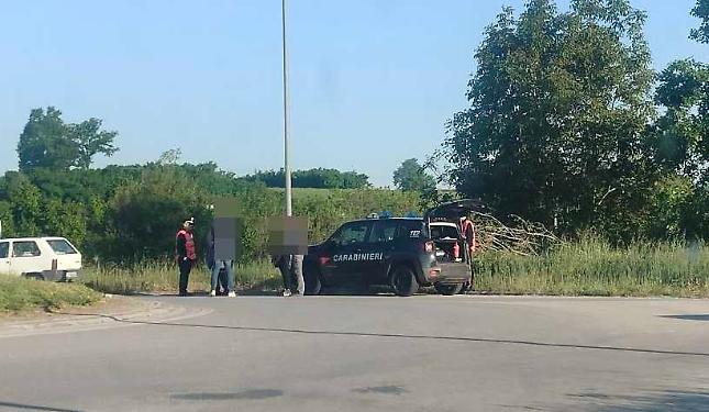 Tamponamento dalla rotonda tra pi&ugrave; mezzi