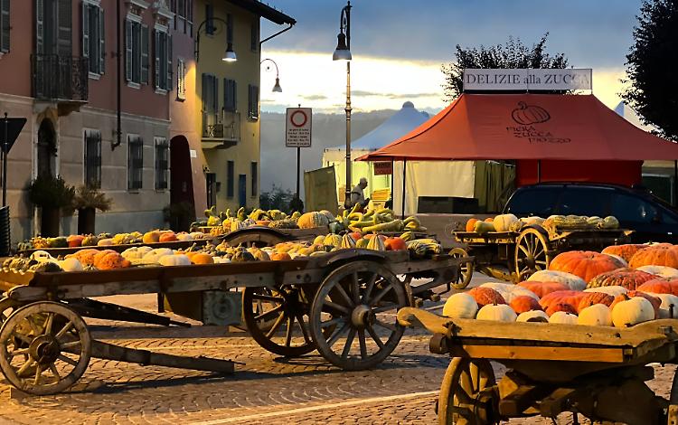 La Fiera della Zucca di Piozzo "studia da grande" e si presenta... a Torino