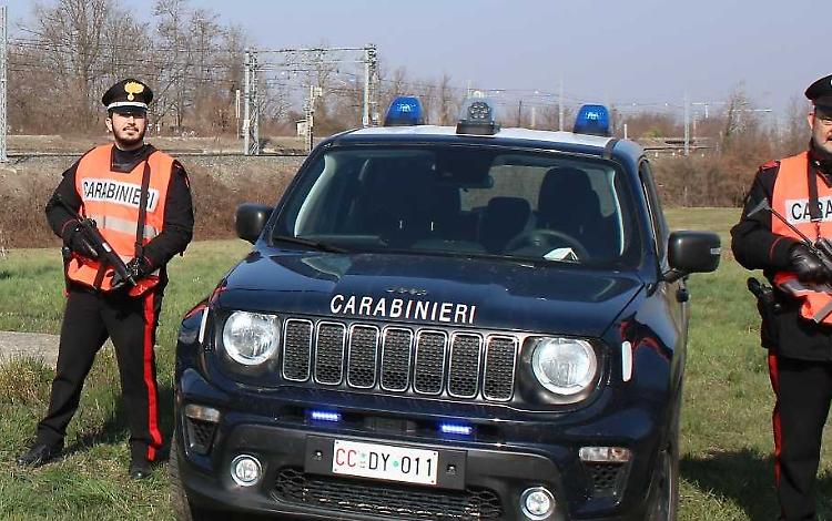 Blitz armato al deposito di cannabis: individuata la banda del colpo da 60 mila euro